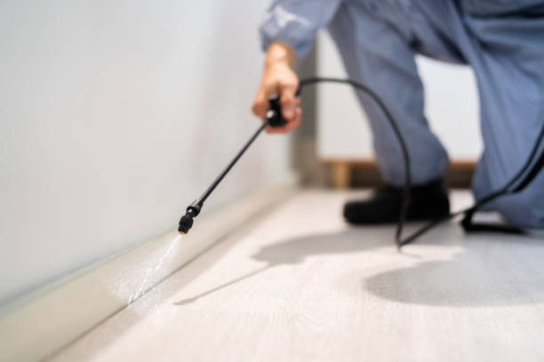 Licensed Pest Control service in Shiloh, OH - Show Me Pest Control