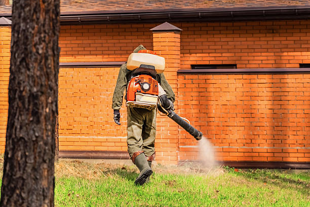 Bed Bug Clearance Verification and Documentation in Shiloh